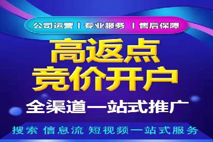 百度竞价代理优化策略：案例分享与借鉴